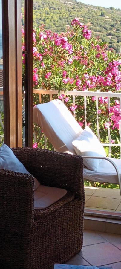 Studio Apartman Tomi - Seaview Vis Dış mekan fotoğraf